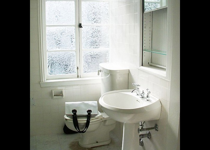 500x500_ShowBathBefore1